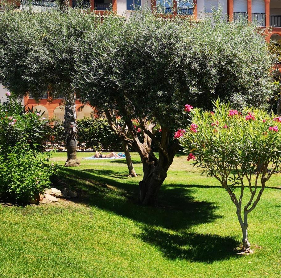 Studio With Terrace And Pool Torrevieja Ngoại thất bức ảnh