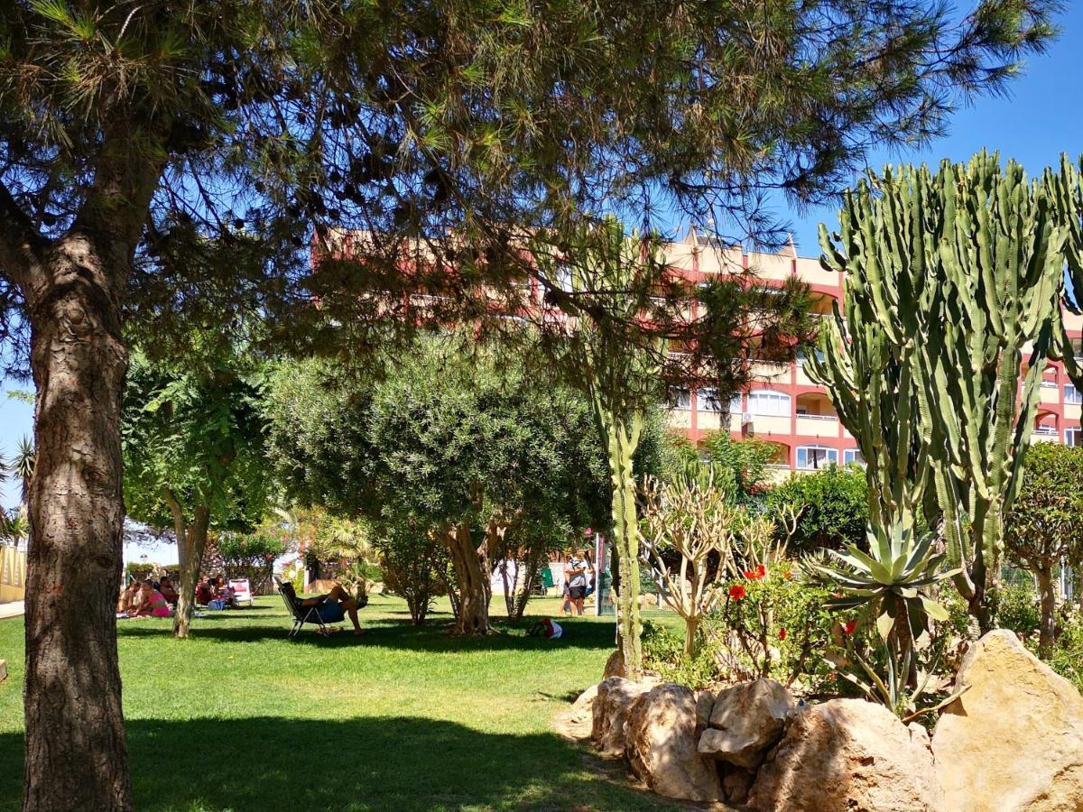 Studio With Terrace And Pool Torrevieja Ngoại thất bức ảnh
