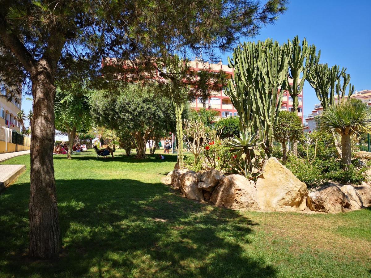Studio With Terrace And Pool Torrevieja Ngoại thất bức ảnh