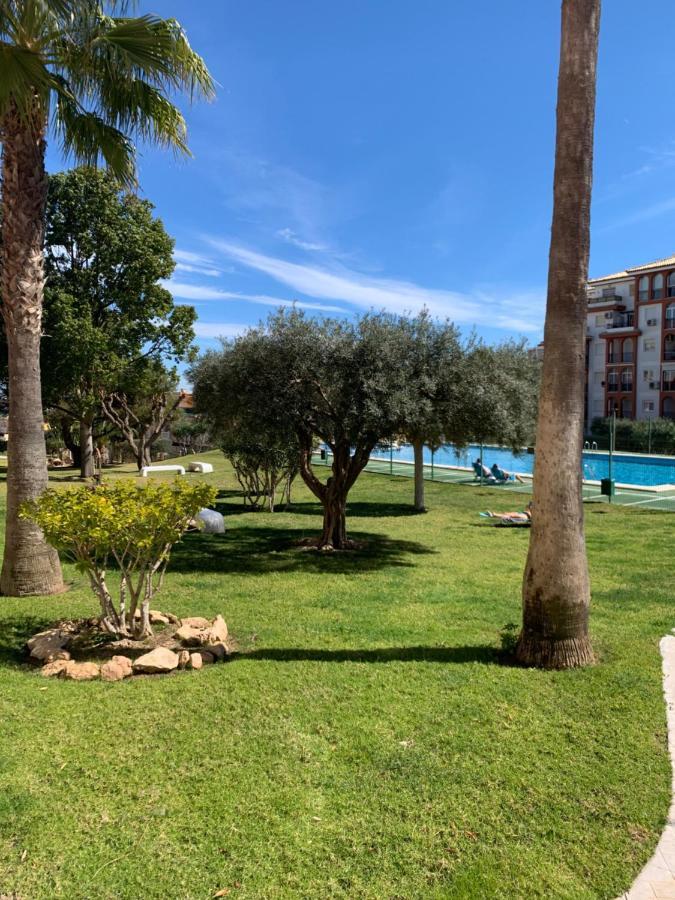 Studio With Terrace And Pool Torrevieja Ngoại thất bức ảnh